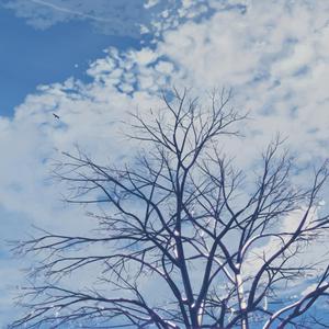 舒淇港片大全免费
