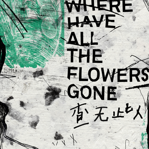 舒淇港片大全免费
